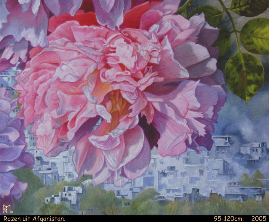Rozen-uit-Afghanistan